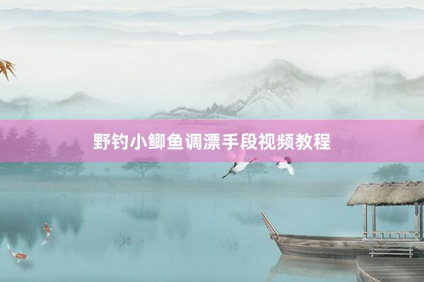 野钓小鲫鱼调漂手段视频教程